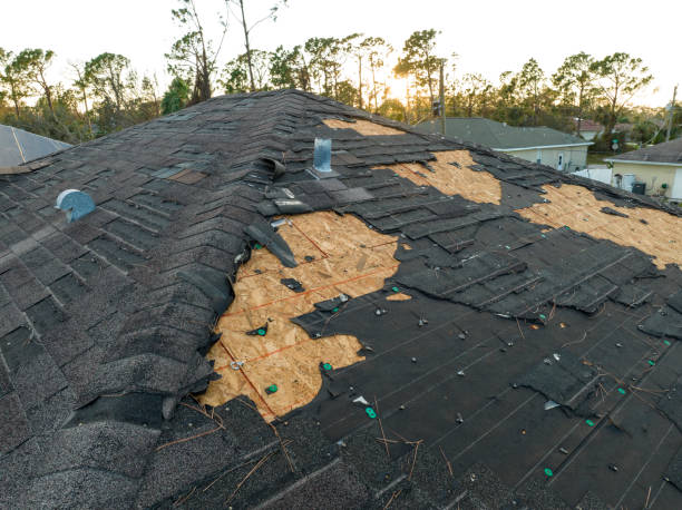 Best Emergency Roof Repair Services  in Belhaven, NC